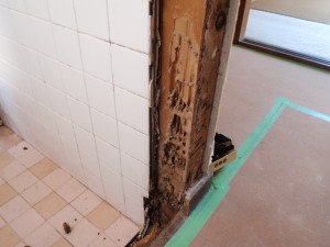 シロアリ食害　浴室柱